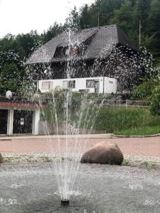 a water fountain in front of a house at Haus am Scheibenfelsen in St. Blasien