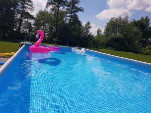 un flotteur de cygne rose dans une piscine dans l'établissement Dom na Ponidziu z basenem, à Wiślica