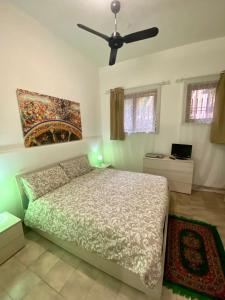カターニアにあるCasa Cataniaのベッドルーム1室(ベッド1台、シーリングファン付)