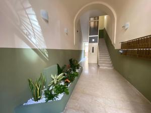 カターニアにあるCasa Cataniaの階段と植物のある廊下