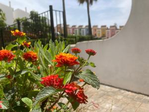 A garden outside 3 Storey Townhouse - Costa Del Sol
