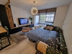 Mountain Wings Bjelasnica Apartment في بييلاشنيتسا: غرفة معيشة مع سرير وتلفزيون