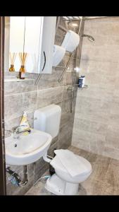a bathroom with a white toilet and a sink at Becar Pyramid Rooms in Visoko +28 photos