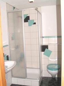 uma casa de banho com um chuveiro e um WC. em Pension Sonne em Rickenbach