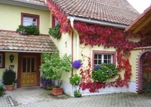 ein Haus mit Blumen auf der Seite in der Unterkunft Pension Sonne in Rickenbach