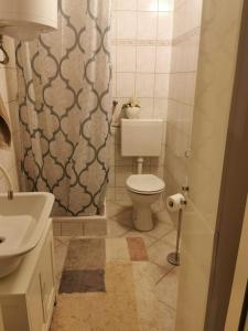 a bathroom with a toilet and a shower curtain at Apartment with garden in Vela Luka