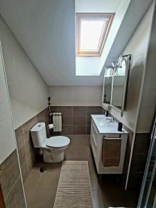 a bathroom with a toilet and a sink and a window at Fabuloso apartamento con terraza y piscina in Villabáñez