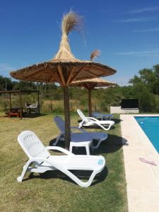 um grupo de cadeiras e um guarda-sol junto a uma piscina em Soles de Alicia em Colón