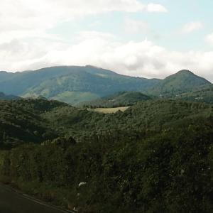 Príroda v okolí dovolenkového domu