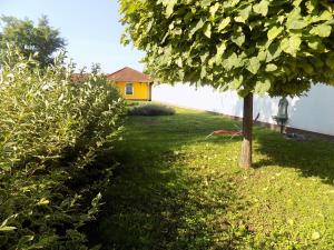 Foto dalla galleria di Platán Panzió a Nyúl