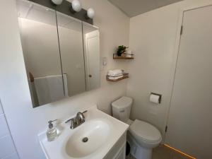 a bathroom with a sink and a toilet and a mirror at Private 1 Bd near Yosemite and Bass lake in Oakhurst