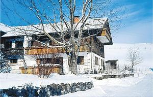 ein schneebedecktes Haus mit einem Baum davor in der Unterkunft Stunning Apartment In Nesselwang With 1 Bedrooms And Wifi in Nesselwang