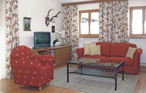 TV a/nebo společenská místnost v ubytování Awesome Apartment In Oberaudorf