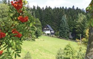 a house in the middle of a green field with trees at Holiday Home Am Einsberg Q in Tellerhäuser