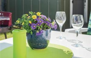 Nápoje v ubytování Holiday Home Zum Anleger G