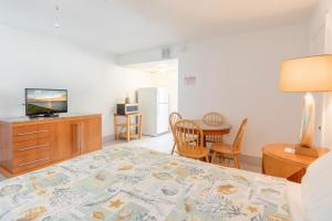 TV a/nebo společenská místnost v ubytování Premiere Motel