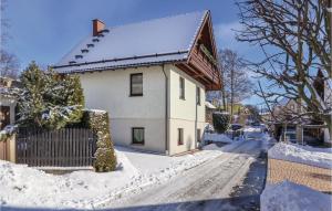 Nice Home In Auerbach-ot Rempesgrn With 4 Bedrooms, Wifi And Outdoor Swimming Pool v zimě