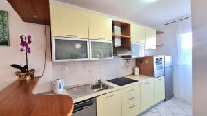 Kuchyňa alebo kuchynka v ubytovaní Apartment Diocletian