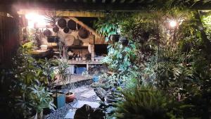 uma sala cheia de plantas em Ambiance sud sauvage em Saint-Joseph