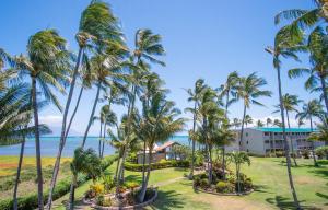 a view of the beach and palm trees at the resort at Molokai Island Retreat with Beautiful Ocean Views and Pool - Newly Remodeled! in Ualapue