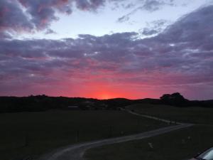 un coucher de soleil sur une route dans un champ dans l'établissement Driftwood Villas, à Sandy Point