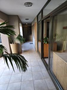 Homely Apartment, Hatfield, Unit-9 في بريتوريا: مدخل مع نباتات الفخار في مبنى