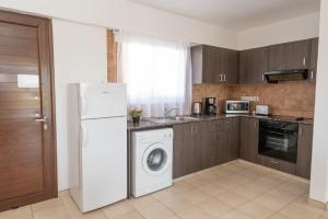 Kjøkken eller kjøkkenkrok på STAY Nissi Bliss Apartment