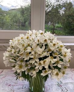 um vaso de flores brancas sobre uma mesa com uma janela em Bed and Breakfast John and Lena em Tatev