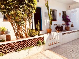 a porch with plants and a white fence at Amplio y con encanto en el centro histórico in Tarifa