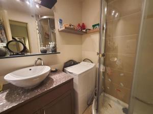 a small bathroom with a sink and a shower at Gruissan les MARINES II in Gruissan