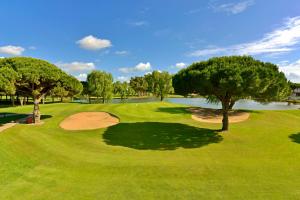 a green field with a green tree and a blue sky at Iberostar Selection Andalucia Playa in Chiclana de la Frontera