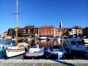 a group of boats are docked in a harbor at Apartmaji Sonce Izola in Izola