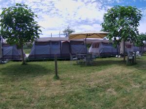 オ・ペドロウソにあるCamping Peregrino - Low Cost Glampingの木の集合テント