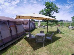 Camping Peregrino - Low Cost Glampingにある庭