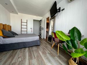 TV a/nebo společenská místnost v ubytování Hotel Hey Peñíscola
