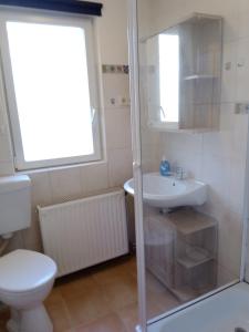 a bathroom with a shower and a toilet and a sink at Hof Kranichweide, Ferienwohnung "Granilager" in Saal