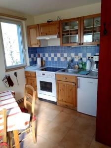 a kitchen with a white stove and a sink at Hof Kranichweide, Ferienwohnung "Granilager" in Saal