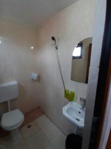 a bathroom with a toilet and a sink at Casa Bekirebeki in Vama Veche