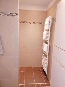 a shower in a bathroom with a glass shower stall at Sonnfeld Appartement in Sankt Veit im Pongau