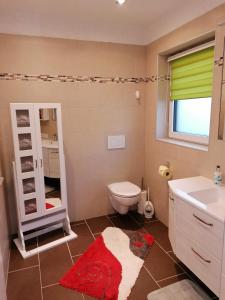 a bathroom with a toilet and a sink and a mirror at Sonnfeld Appartement in Sankt Veit im Pongau