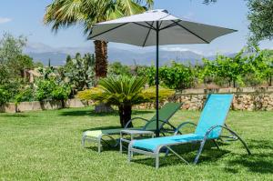 Ogród w obiekcie YourHouse Can Covetes, villa with private pool and garden, perfect for families