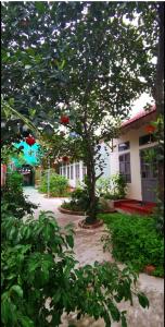 een boom voor een huis met een gebouw bij Hang Mua Happiness Homestay in Ninh Binh