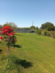 A garden outside Grand Afroditi LUX