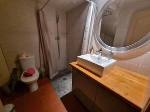 a bathroom with a sink and a toilet and a mirror at I Love Perpignan Duplex Terrasse in Perpignan