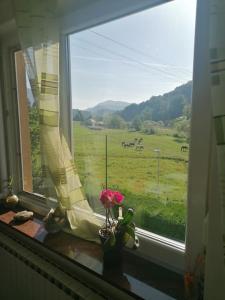 Pogled na planinu ili pogled na planinu iz apartmana