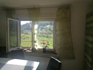 Pogled na planinu ili pogled na planinu iz apartmana