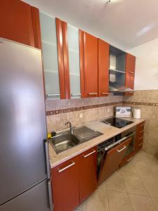 uma cozinha com um lavatório e um frigorífico de aço inoxidável em Aquarium Apartment Kotor em Kotor