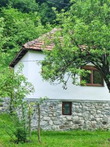 a white house with a stone wall and trees at Farmstead Green Haven in Mojkovac