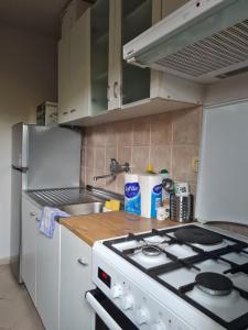 Kuchyň nebo kuchyňský kout v ubytování Studio apartment Ivan