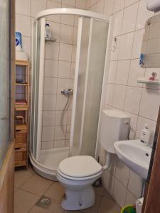 Koupelna v ubytování Studio apartment Ivan + 5 fotografií